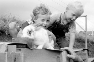 1967 Kinder Tiere   